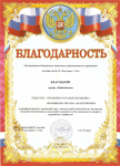 Благодарсность за профессионализм, творческий труд МБДОУ №10